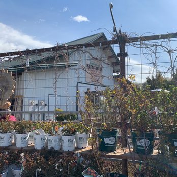 Rail City Garden Center - First time - Nurseries & Gardening Near Me - Sparks, Nevada Rail City Garden Center - First time - Nurseries & Gardening Near Me - Sparks, Nevada