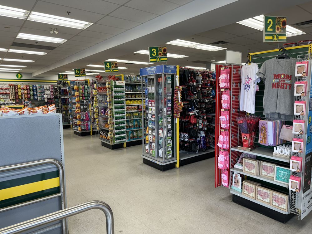 DOLLARAMA Updated January 2025 12 Photos 8661 120 Street, Delta