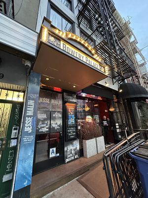 Bowery Palace by null