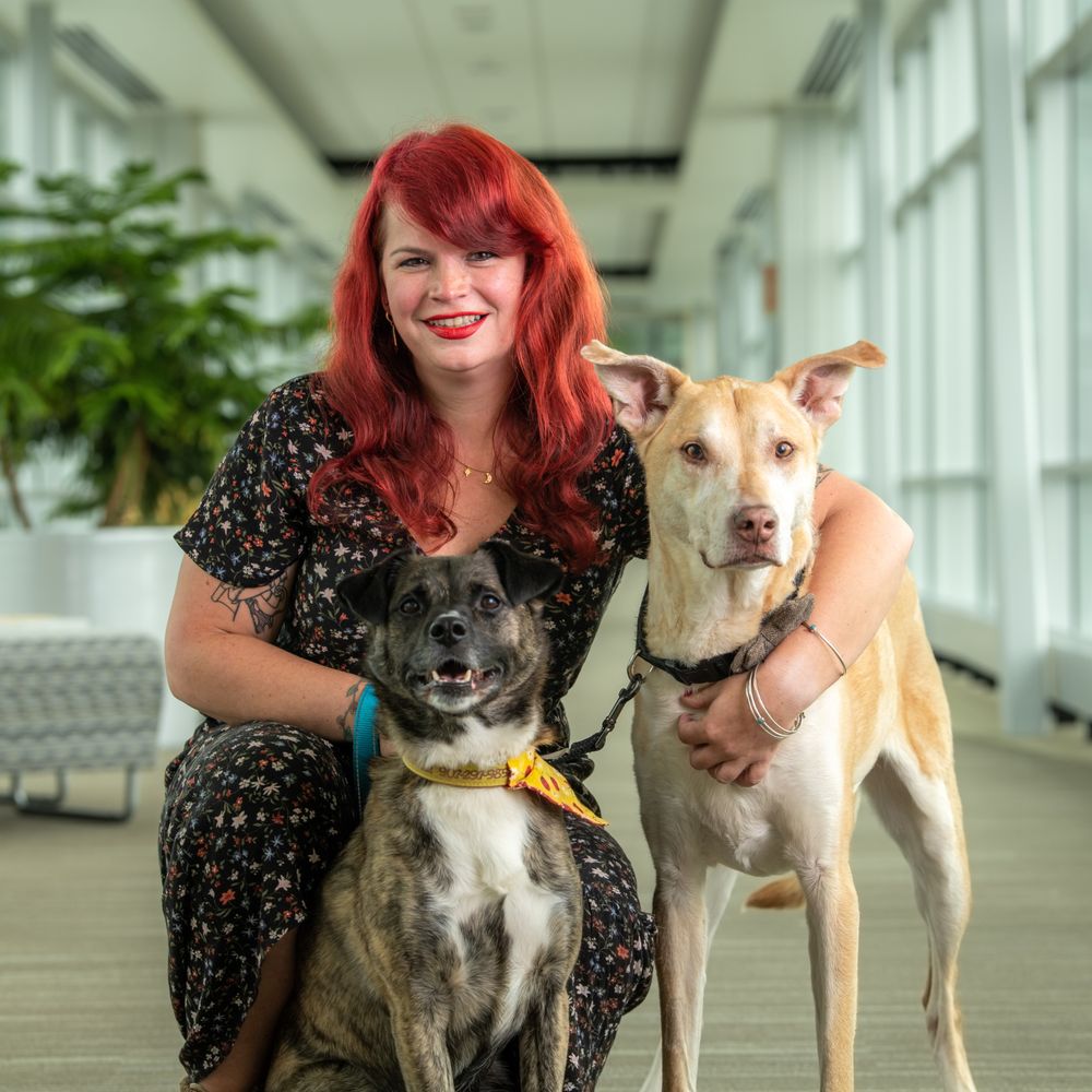 Steady Ground AK Counseling - grief counselor in Anchorage, AK