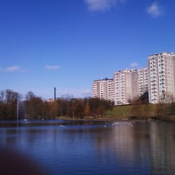 Degnemosen