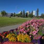 Photo of Delaney Park Strip