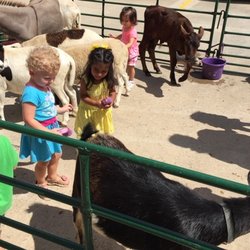 Katy Montessori School - Petting Zoo at school