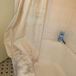Mark Twain Motor Inn - Check out the shower curtain... That washrag is what I used to clean the room UPON ENTERING... They don't deserve the states help/money!!