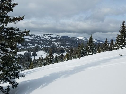 Paragon Guides by null