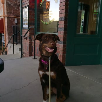 Liu Mandarin Kitchen - Dog friendly space in patio table. She was the only dog and the owner was very kind to Lola - Chinese Near Me - Auburn, California