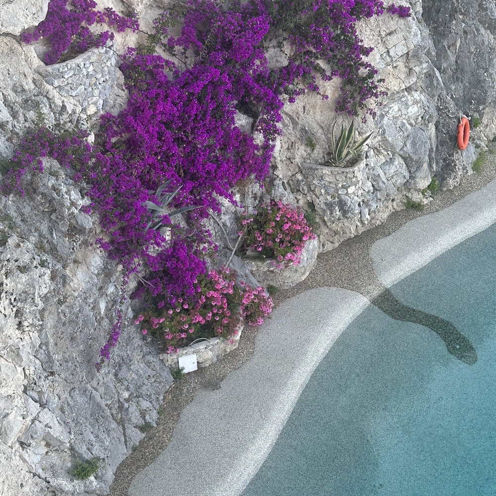 Grand Hotel Excelsior - Beautiful flowers blooming throughout the property. - Hotels Near Me - Amalfi, SA