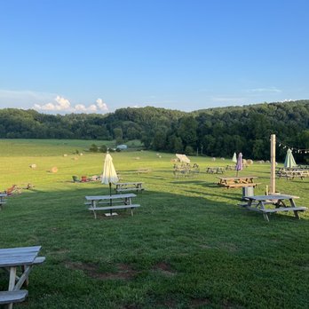 Bald Top Brewing - Outside seating, beautiful views - Wine Bars Near Me - Madison, Virginia