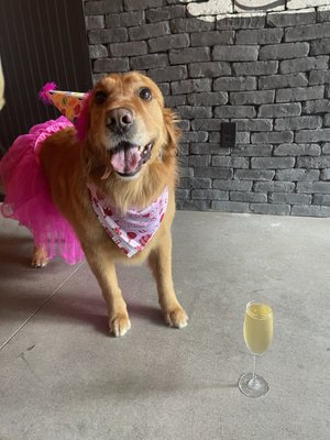 Night Owl Bar Round Rock by null