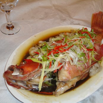 Yang Yang Chinese Restaurant - fish - Chinese Near Me - Castleisland, Kentucky Yang Yang Chinese Restaurant - fish - Chinese Near Me - Castleisland, Kentucky