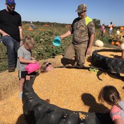 The Pumpkin Pad - Corn Bins