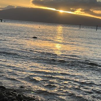 Hono Kai Resort - Beautiful view for dinning. - Hotels Near Me - Wailuku, Hawaii Hono Kai Resort - Beautiful view for dinning. - Hotels Near Me - Wailuku, Hawaii