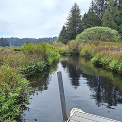 Beaver Creek State Natural Area - View from dock off boardwalk