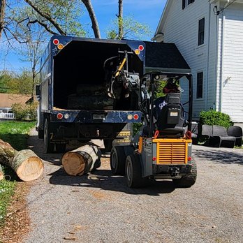 Galvez Tree Service - DA CRAW putting big chunks into the truck - Tree Services Near Me - Holmes, New York Galvez Tree Service - DA CRAW putting big chunks into the truck - Tree Services Near Me - Holmes, New York