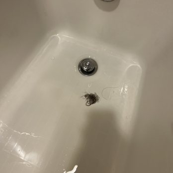 Courtyard by Marriott San Diego Airport/Liberty Station - Hair Clogged Drain! - Hotels Near Me - San Diego, California Courtyard by Marriott San Diego Airport/Liberty Station - Hair Clogged Drain! - Hotels Near Me - San Diego, California