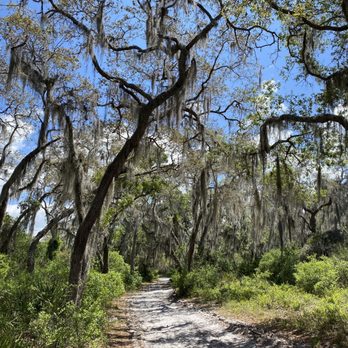 Split Oak Forest - Hiking Near Me - Orlando, Florida