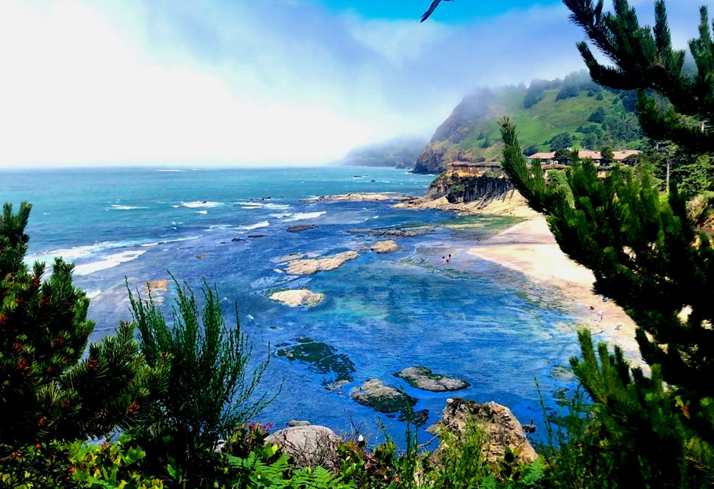 Tricoastal Psychological Services - grief counselor in Norfolk, VA