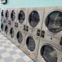 Oak Tree Laundry