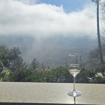 Rombauer Vineyards - A view that makes you never want to leave - Wineries Near Me - St. Helena, California
