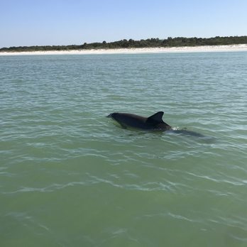 Beach Jet Ski Rentals - Jet Skis Near Me - Clearwater, Florida Beach Jet Ski Rentals - Jet Skis Near Me - Clearwater, Florida