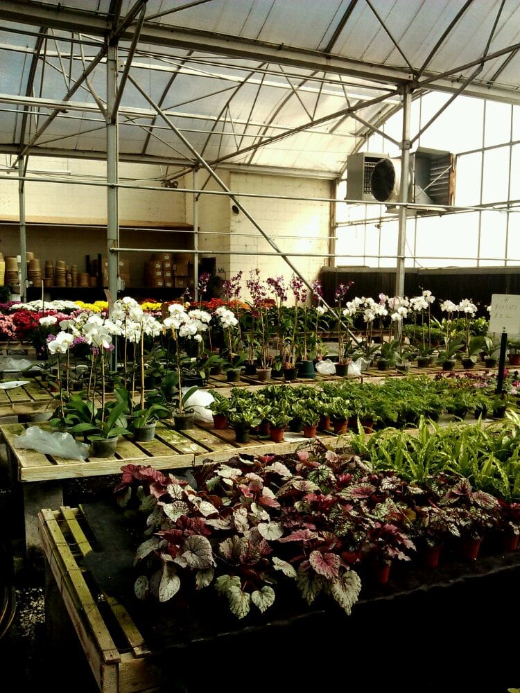 HALLS BIRMINGHAM WHOLESALE FLORIST Updated October 2024 100 6th Ave