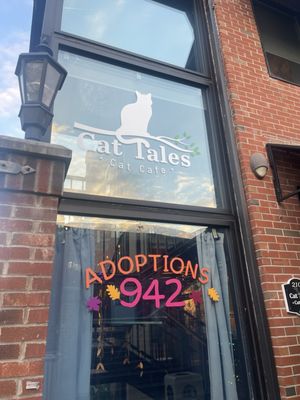 Cat Tales Cat Cafe by null