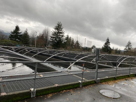 Bonneville Fish Hatchery by null