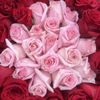 Tower Florist gift card