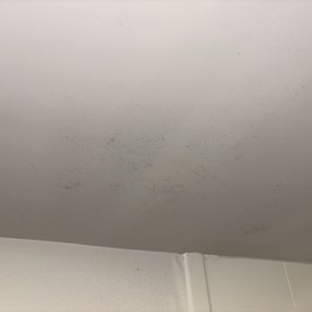 Hampton Inn & Suites Cordele - More black mold - Hotels Near Me - Cordele, Georgia