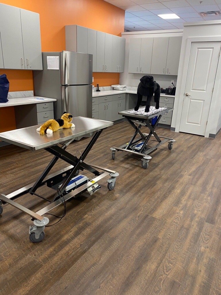 VETIQ Updated June 2024 49900 Grand River Ave, Wixom, Michigan