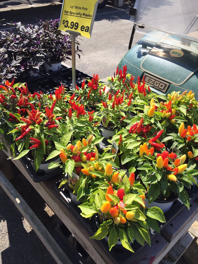 Haines Farm & Garden - beekeeping in Cinnaminson, NJ