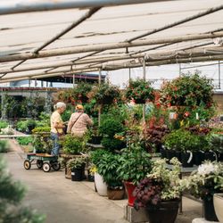 Marbott's Greenhouse & Nursery