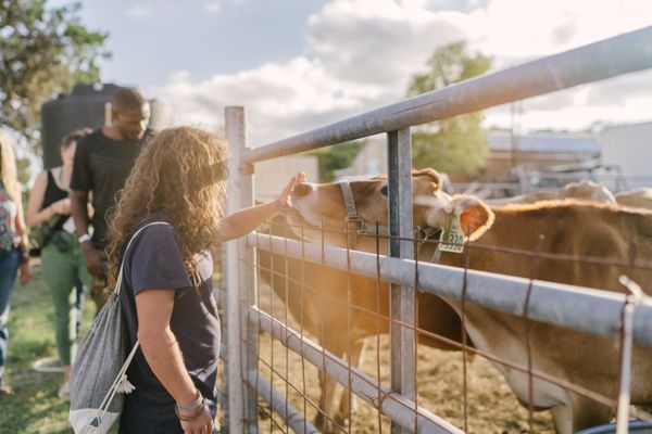 Sovereignty Ranch by null