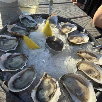 Taylor Shellfish Farms - Virginica and fat bastard - Seafood Markets Near Me - Bow, Washington Taylor Shellfish Farms - Virginica and fat bastard - Seafood Markets Near Me - Bow, Washington