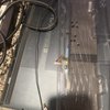 MP Repairs gift card