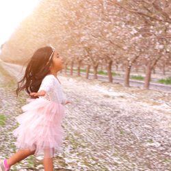 Phatbulous Photos - Almond Orchards