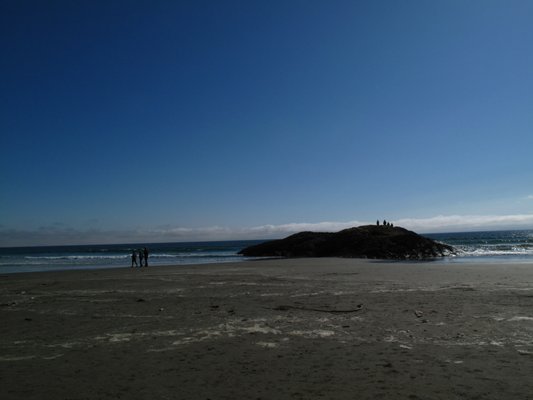 Chesterman Beach by null