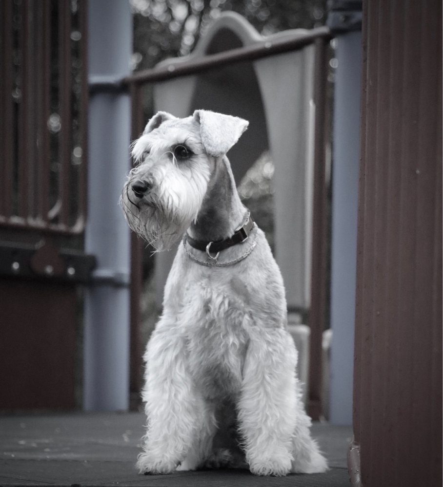 EarthWise Pet Valrico Image