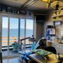 Photo of Leinassar Dental Excellence