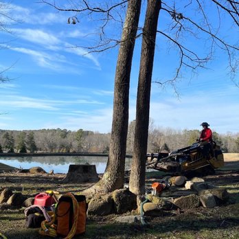 Lubbers & Sons Tree Care - Tree Services Near Me - Chapel Hill, North Carolina Lubbers & Sons Tree Care - Tree Services Near Me - Chapel Hill, North Carolina