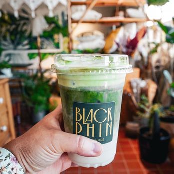 Black Phin - Coffee & Tea Near Me - Winter Park, Florida Black Phin - Coffee & Tea Near Me - Winter Park, Florida
