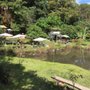 Photo of Verde Folhas