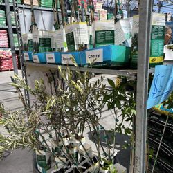 Lowe's Home Improvement - $5.00
