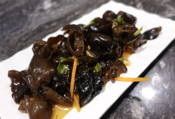Union Dumpling House by null