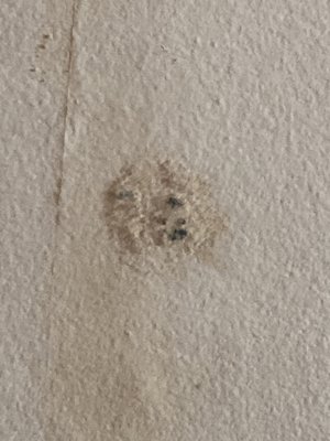 Fair And Square Roofing Logo