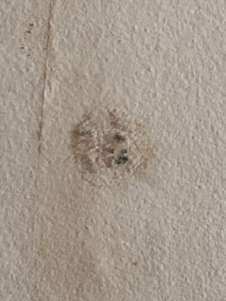 Slide of Fair And Square Roofing