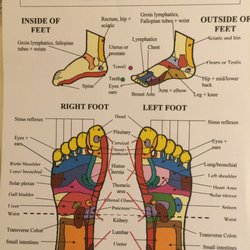 Christine Rimmer Reflexology - Clinical reflexology can be received by everyone including those with heart complaints,stroke,diabetes,cancer & throughout pregnancy.