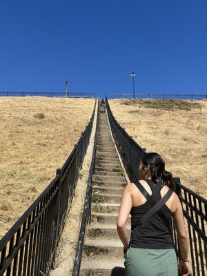 Mt. Tabor Picnic A by null