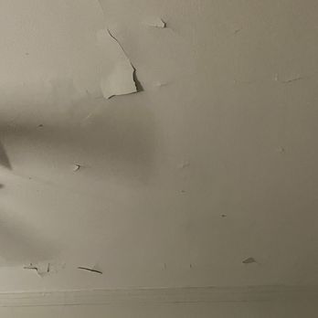 Beal Properties - Ceiling damage - Property Management Near Me - Chicago, Illinois