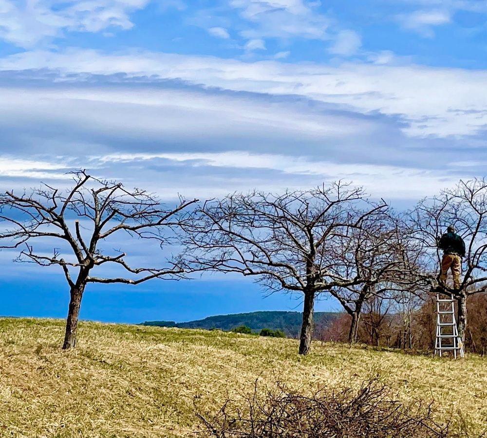 The Greenman Garden Landscaping - tree service in Spencer, MA